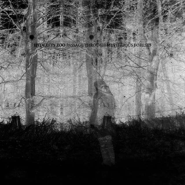 AJ | Projects | Hydletts Zoo | Hydletts&#x20;Zoo&#x27;s&#x20;Passage&#x20;Through&#x20;Mysterious&#x20;Forests&#x20;released